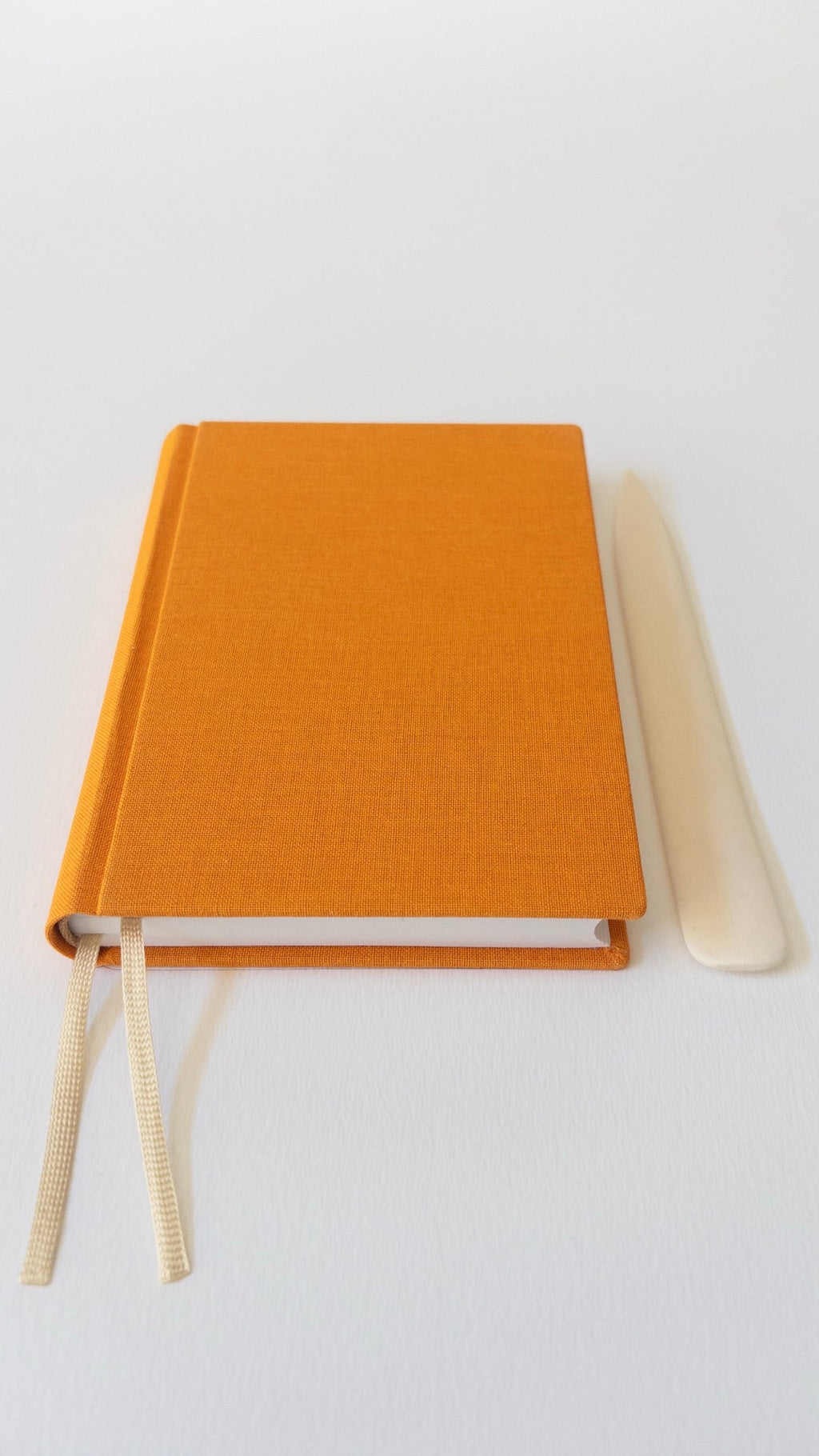 Carnet Marais A6 Dahlia — vue avec plioir